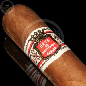 Hoyo De Monterrey Petit Robustos - HitCigars